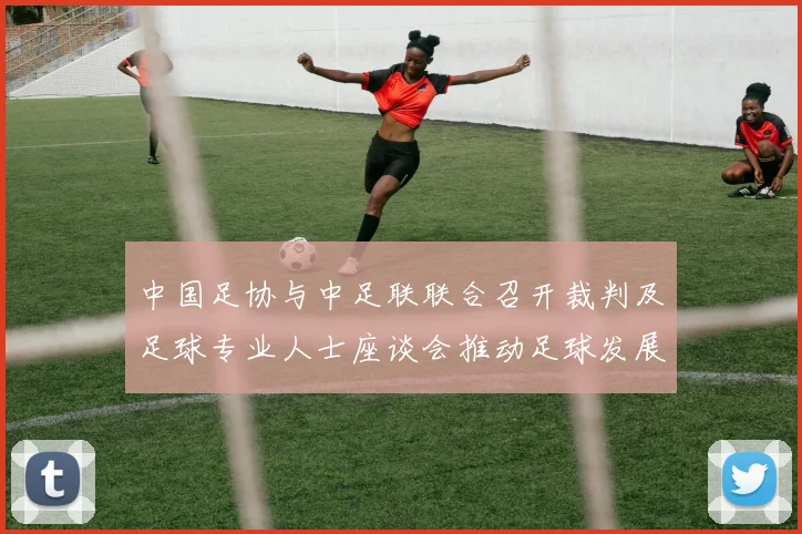 中国足协与中足联联合召开裁判及足球专业人士座谈会推动足球发展新举措